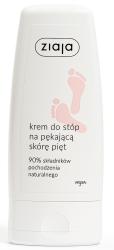 KREM DO STÓP NA PĘKAJĄCĄ SKÓRĘ PIĘT  60 ml