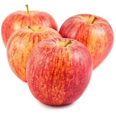 Jablka SZAMPION z Polski - Äpfel SZAMPION aus Polen 1  kg